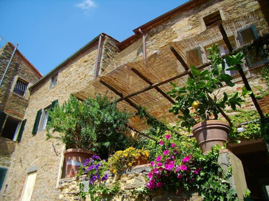 Near The Sea Big Panoramic House 2 Terraces In Lovely Village Montiano  Exterior photo