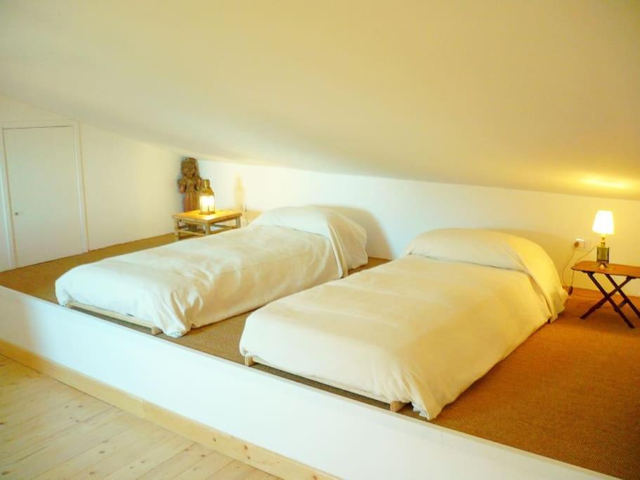 Near The Sea Big Panoramic House 2 Terraces In Lovely Village Montiano  Exterior photo